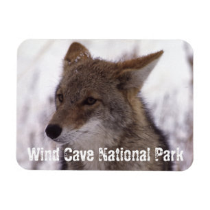 Coyote Face, Wind Cave National Park, SD Magnet