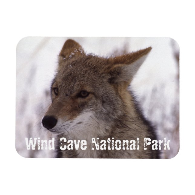Coyote Face, Wind Cave National Park, SD Magnet (Horizontal)