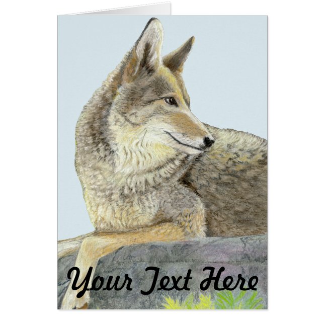 Coyote Greeting Card (Front)