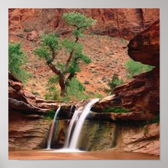 Coyote Gulch Falls Poster (Front)