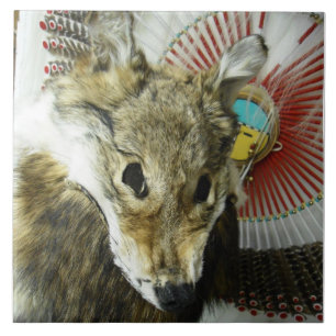 Coyote Headdress Tile