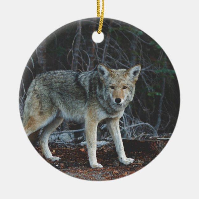 Coyote Hunting Ceramic Tree Decoration (Front)