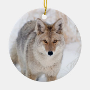 Coyote in Snow at Yellowstone National Park Ceramic Tree Decoration