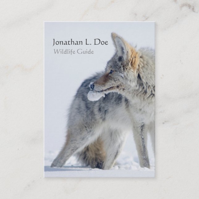 Coyote in Snow Wildlife Guide, Ecologist Business Card (Front)