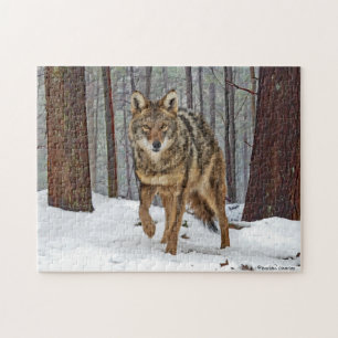 "Coyote In The Pines" Puzzle