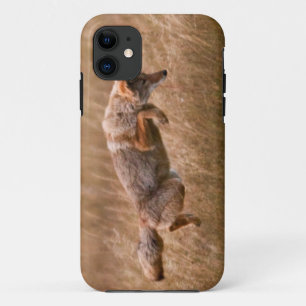 Coyote Leaping - Gibbon Meadows iPhone 11 Case
