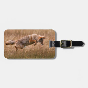 Coyote Leaping - Gibbon Meadows Luggage Tag