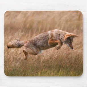 Coyote Leaping - Gibbon Meadows Mouse Mat