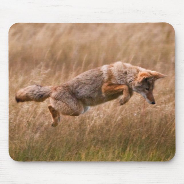 Coyote Leaping - Gibbon Meadows Mouse Mat (Front)