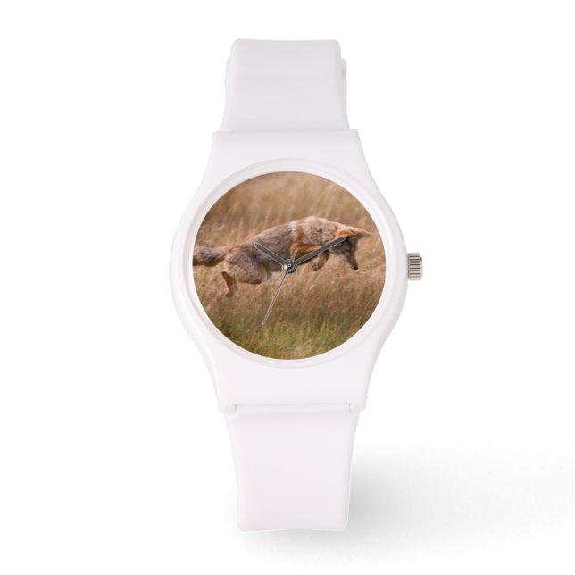 Coyote Leaping - Gibbon Meadows Watch (Front)