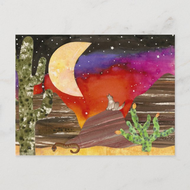 Coyote Moon Night Songs Postcard (Front)