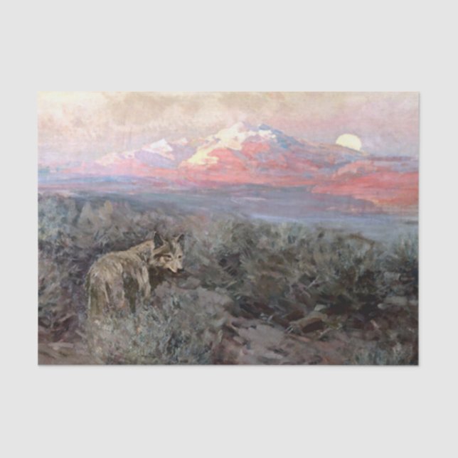 “Coyote Moonrise” by Frank Tenney Johnson Tissue Paper (Front)