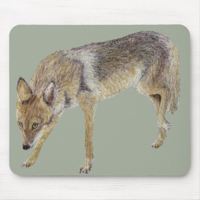 Coyote Mouse Mat (Front)