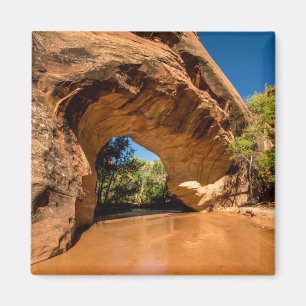 Coyote Natural Bridge - Coyote Gulch - Utah Magnet