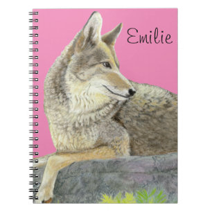 Coyote Notebook