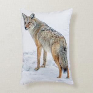 Coyote on alert in snow decorative cushion