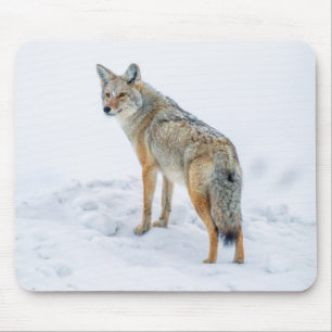Coyote on alert in snow mouse mat