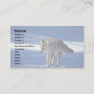 Coyote on snow business card