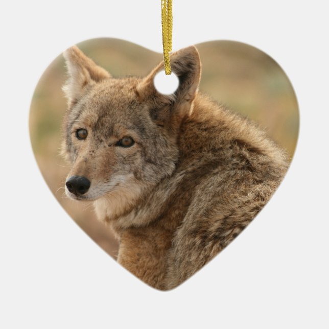 Coyote Ornament (Front)