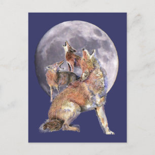 Coyote Pack Howling at the Moon Postcard