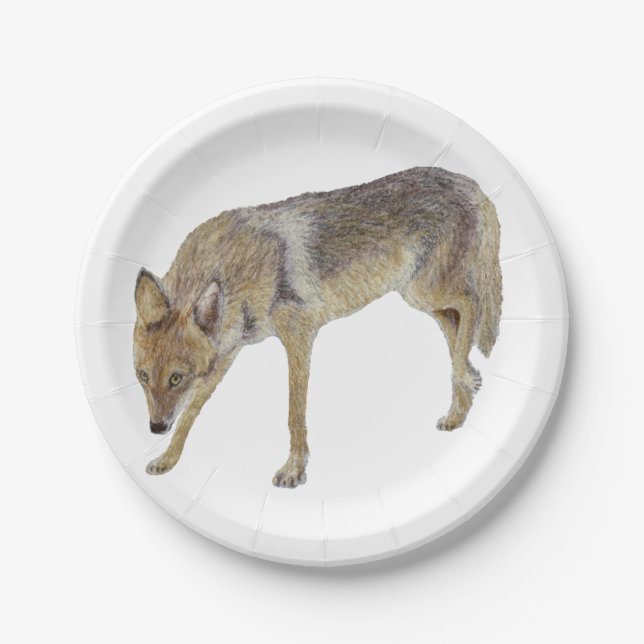 Coyote Paper Plate (Front)