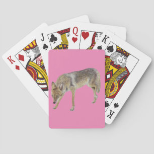Coyote Playing Cards