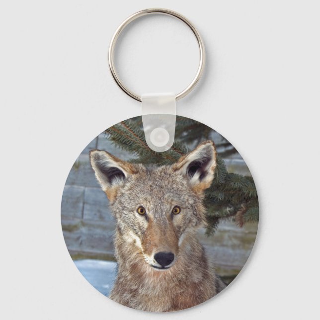 Coyote Portrait Key Ring (Front)