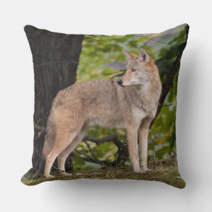 Coyote Pretty Cushion