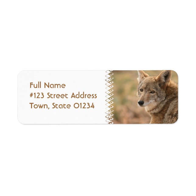 Coyote Return Address Mailing Label (Front)