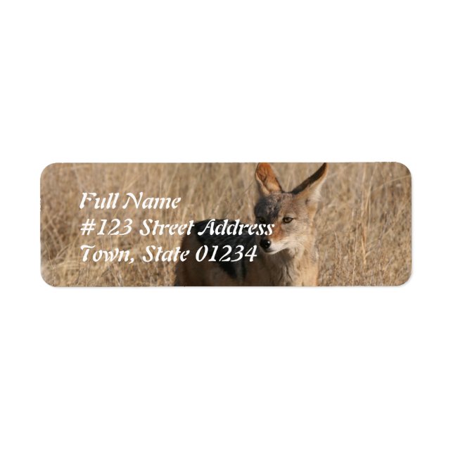 Coyote Return Address Mailing Label (Front)