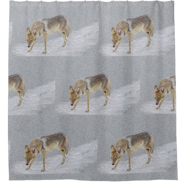 Coyote Shower Curtain (Front)