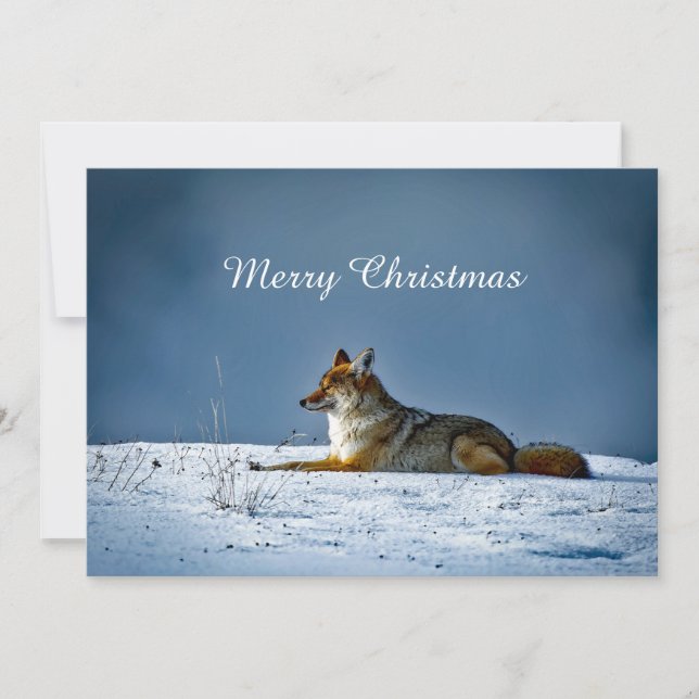 Coyote Snow Photo Christmas Flat Holiday Card (Front)