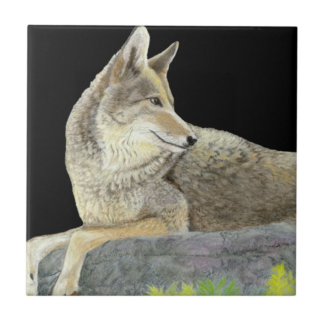 Coyote Tile (Front)