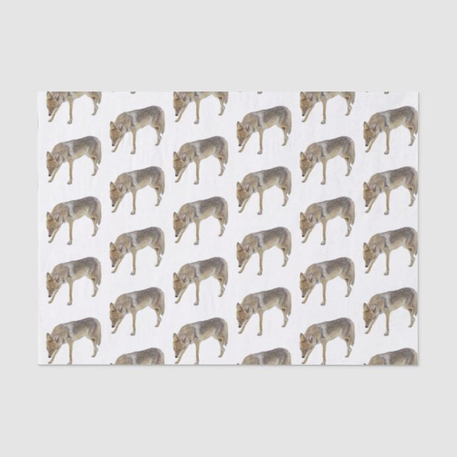 Coyote Tissue Paper (Front)