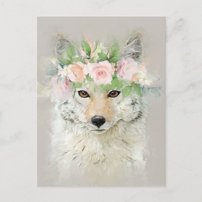 Coyote Wearing a Flower Crown  Postcard (Front)