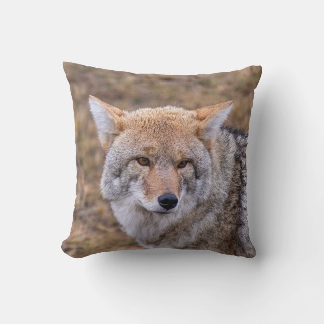 Coyote Wild Dog Pillow (Front)