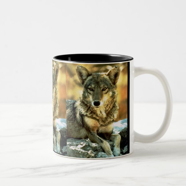 Coyote, Wildlife Lovers Gifts Two-Tone Coffee Mug (Right)