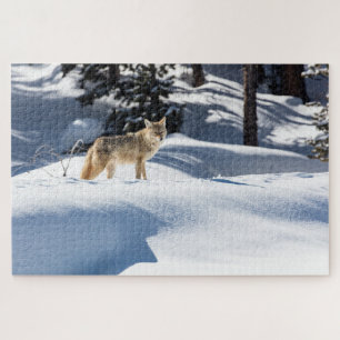 Coyote Winter Wildlife Animal Jigsaw Puzzle