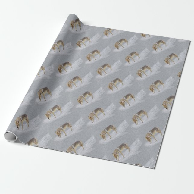 Coyote Wrapping Paper (Unrolled)