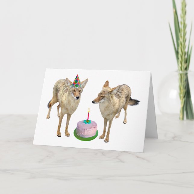 Coyotes Birthday Card (Front)