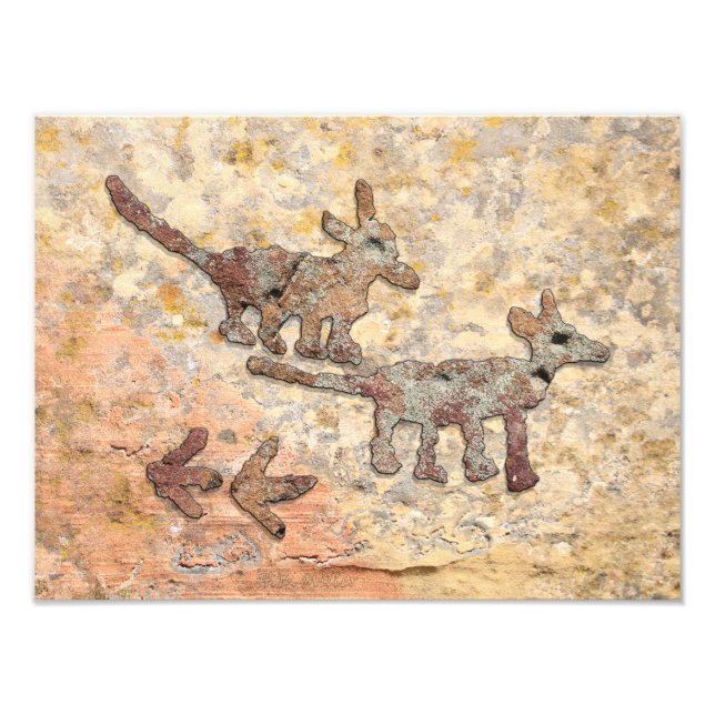 Coyotes Petroglyphs in Arizona Photo Print (Front)