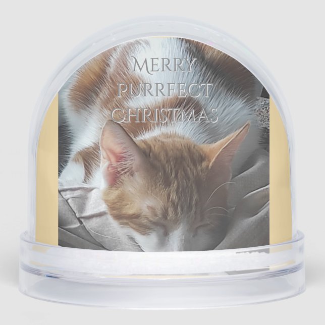 Coz Kitten Snow Globe Christmas Gift (Front)
