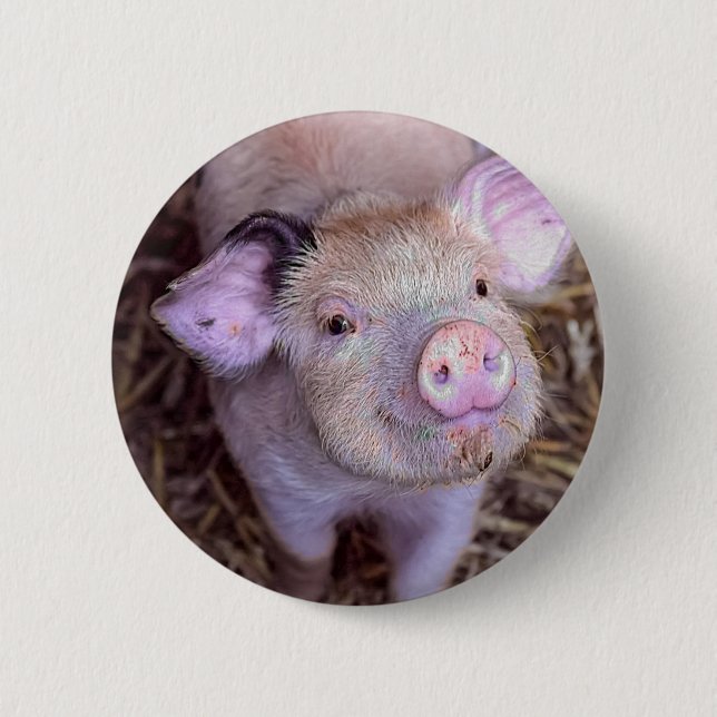 Cozmico 6 Cm Round Badge (Front)