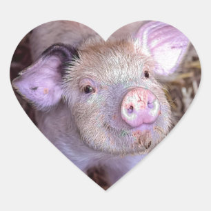 Cozmico Heart Sticker