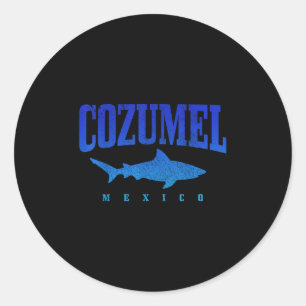 Cozumel Beach Mexico Scuba Diver Shark Diving Vint Classic Round Sticker