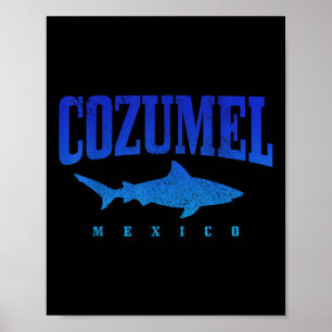 Cozumel Beach Mexico Scuba Diver Shark Diving Vint Poster