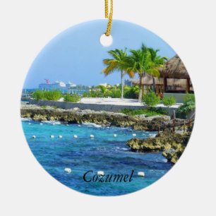 Cozumel Chankanaab Park Travel Ornament