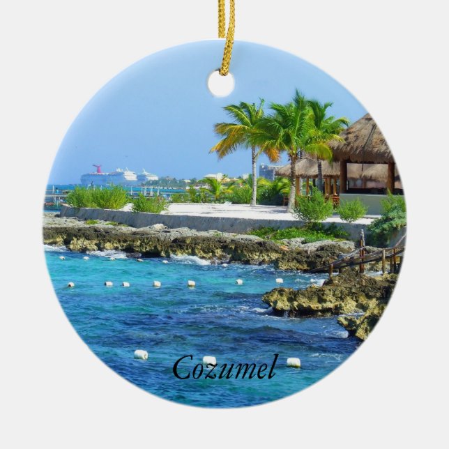 Cozumel Chankanaab Park Travel Ornament (Front)