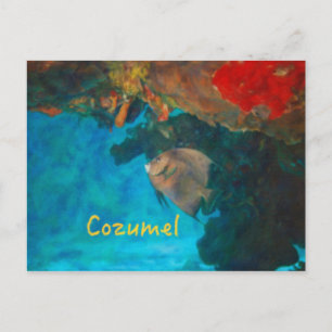 Cozumel Coral Reef Postcard
