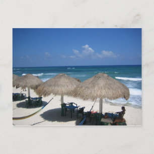 Cozumel Day At The Beach Postcard